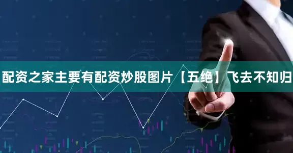 配资之家主要有配资炒股图片【五绝】飞去不知归