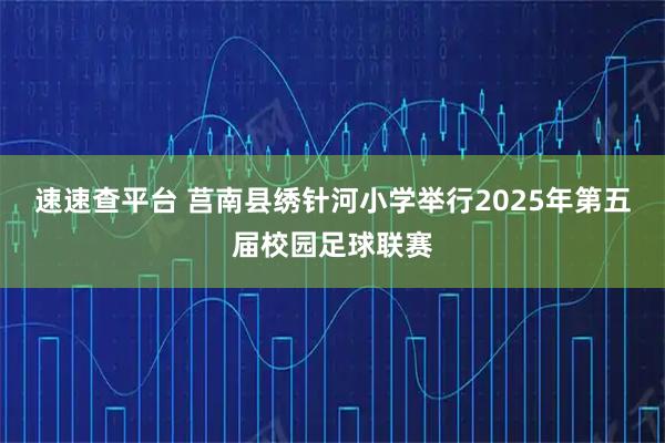 速速查平台 莒南县绣针河小学举行2025年第五届校园足球联赛
